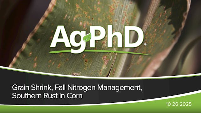 Grain Shrink, Fall Nitrogen Managemen...