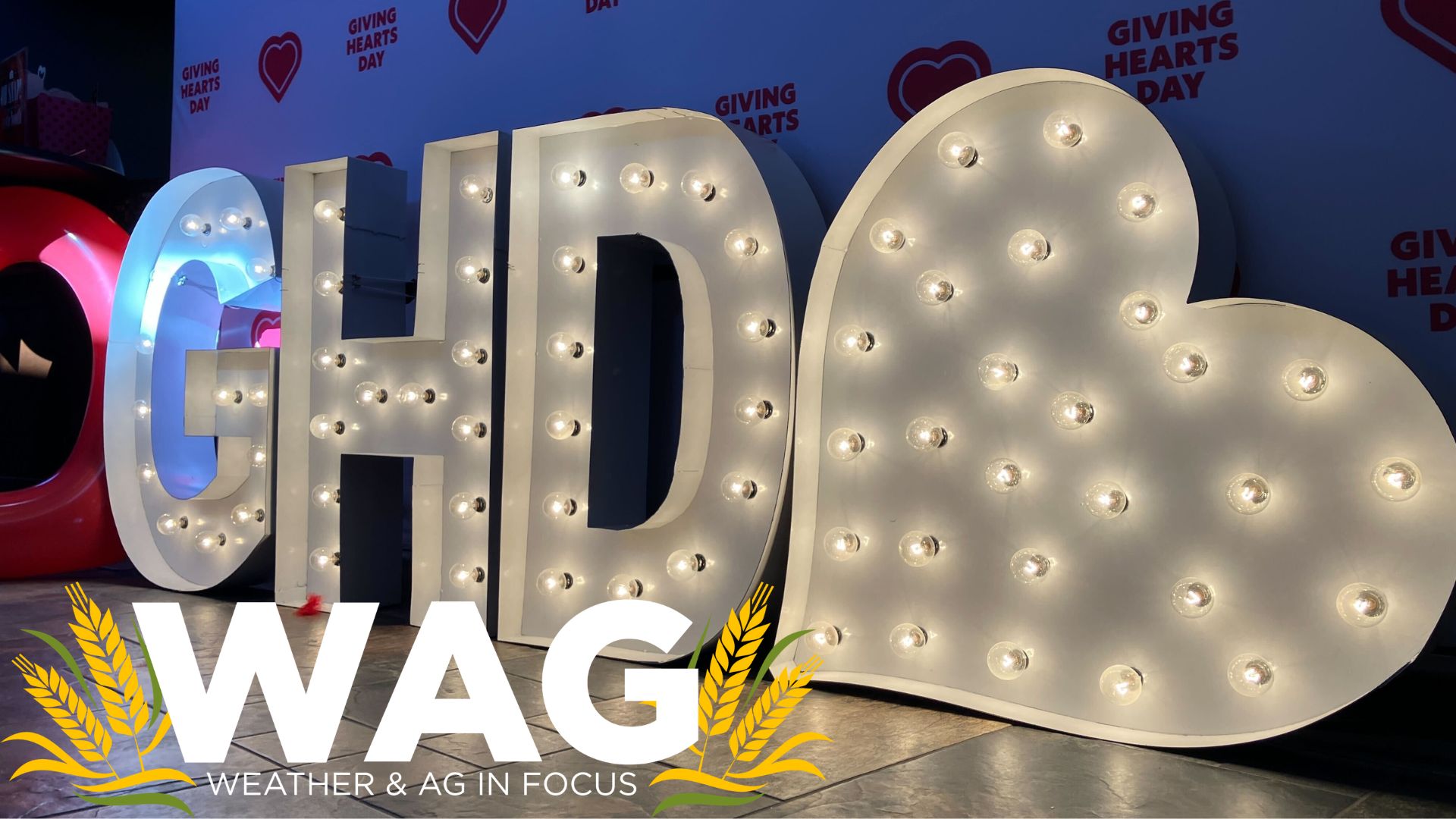 Giving Hearts Day with ND Future Farmers of America - WAG In Focus 2-9-23