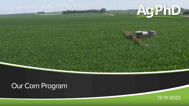 Our Corn Program | Ag PhD
