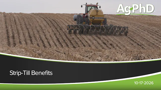 Strip-Till Benefits | Ag PhD