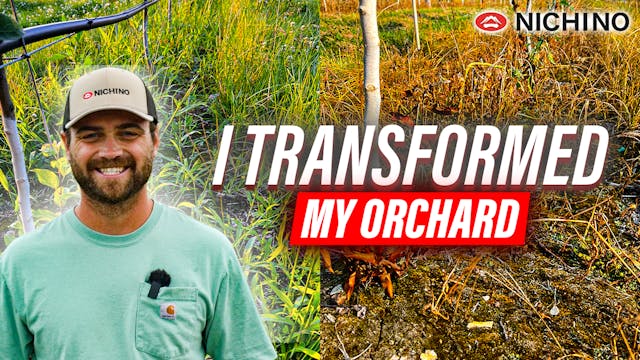 I TRANSFORMED My Orchard With This ON...