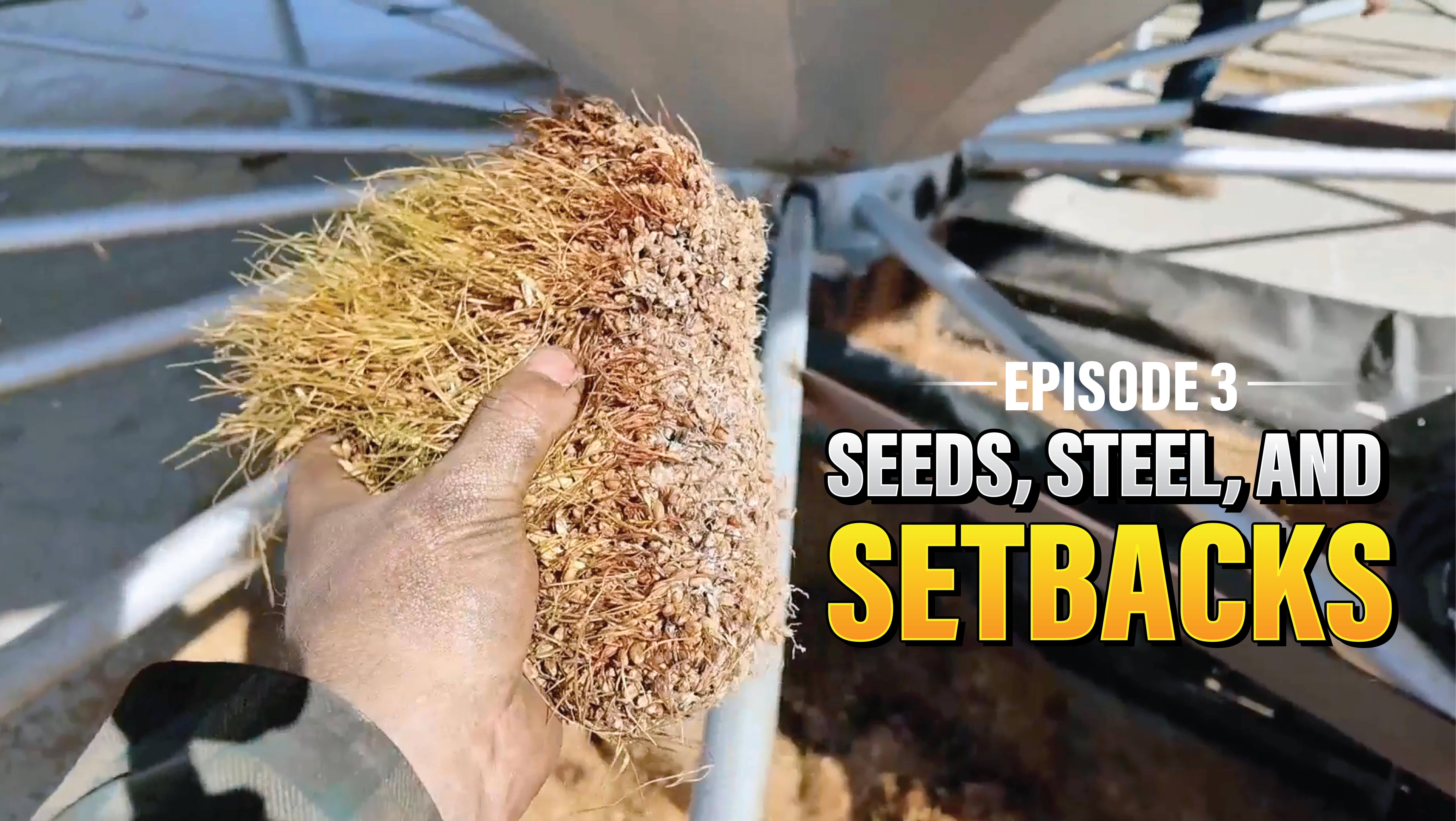 Cleaning Seed Wheat | Northwoods