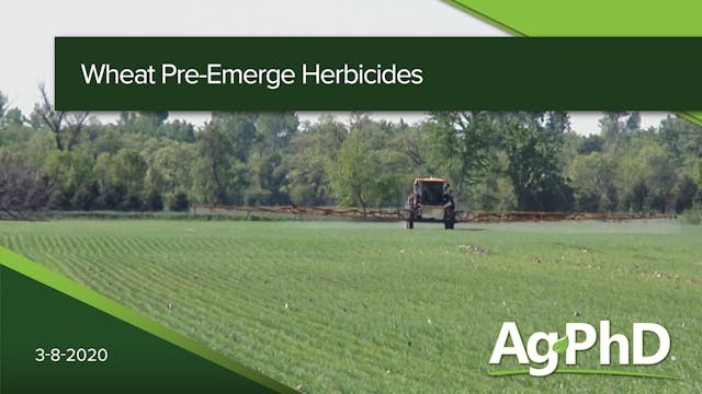 Wheat Pre-Emerge Herbicides