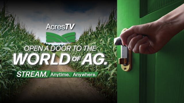 On the Auction Block | WAG in Focus 1...