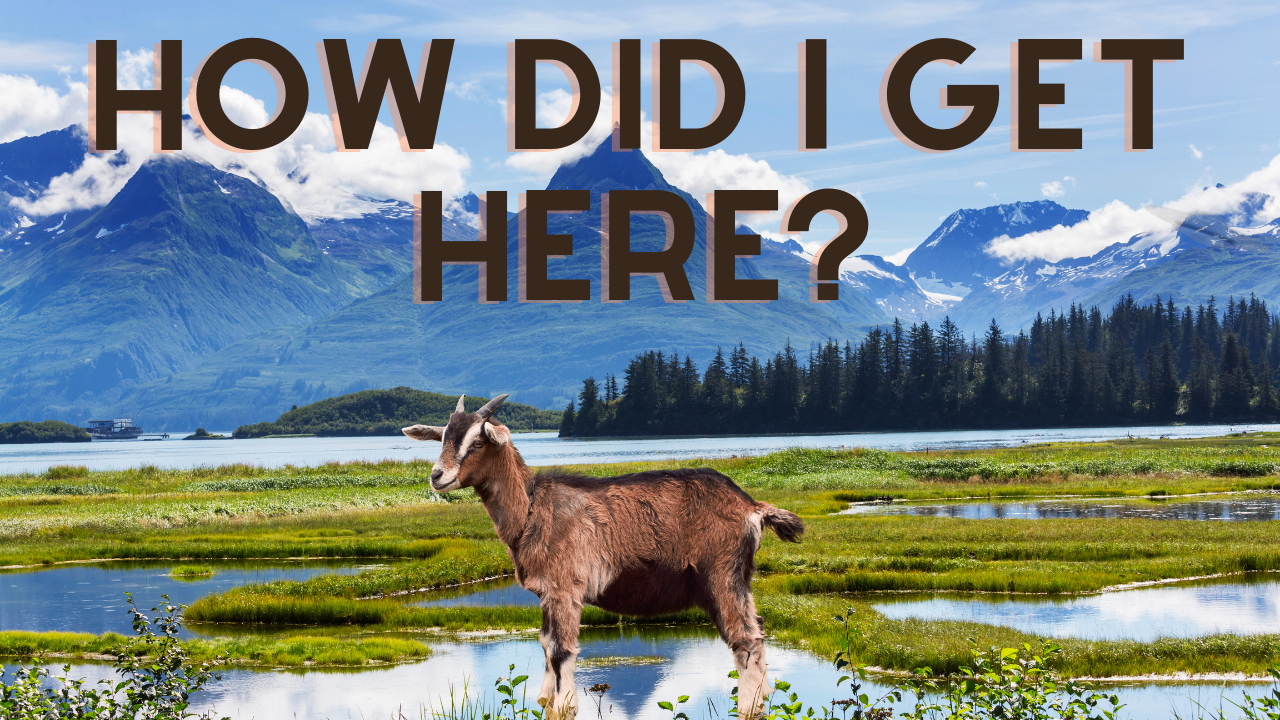 Farming in Alaska | WAG in Focus 04-17-25