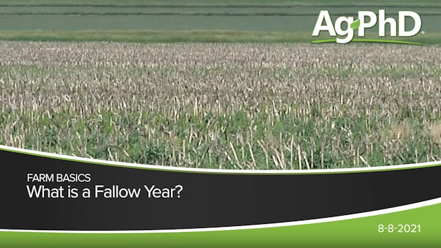What Is A Fallow Year? | Ag PhD