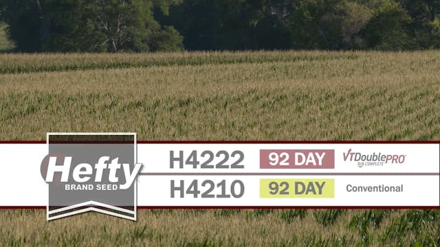 H4210 | 92-Day | VT2P & H4222 | 92-Da...