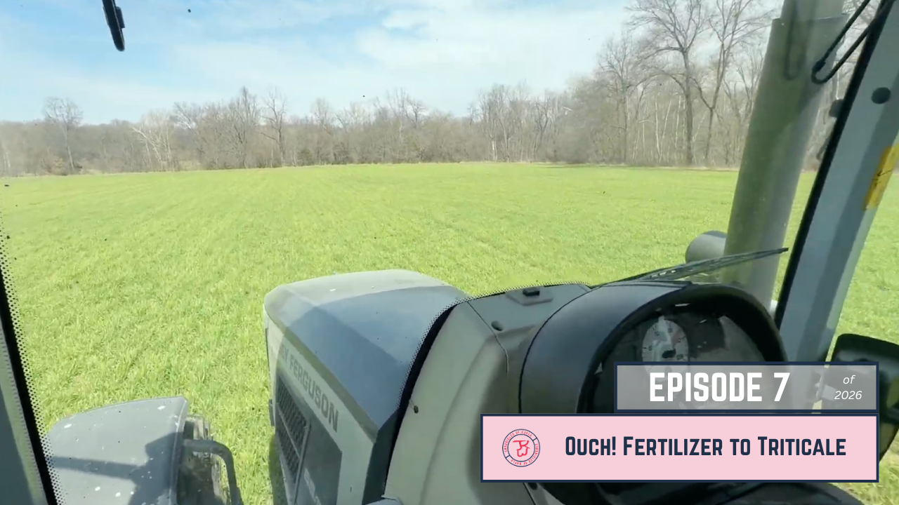 OUCH! Fertilizer to Green Triticale | Chronicles of Kayla