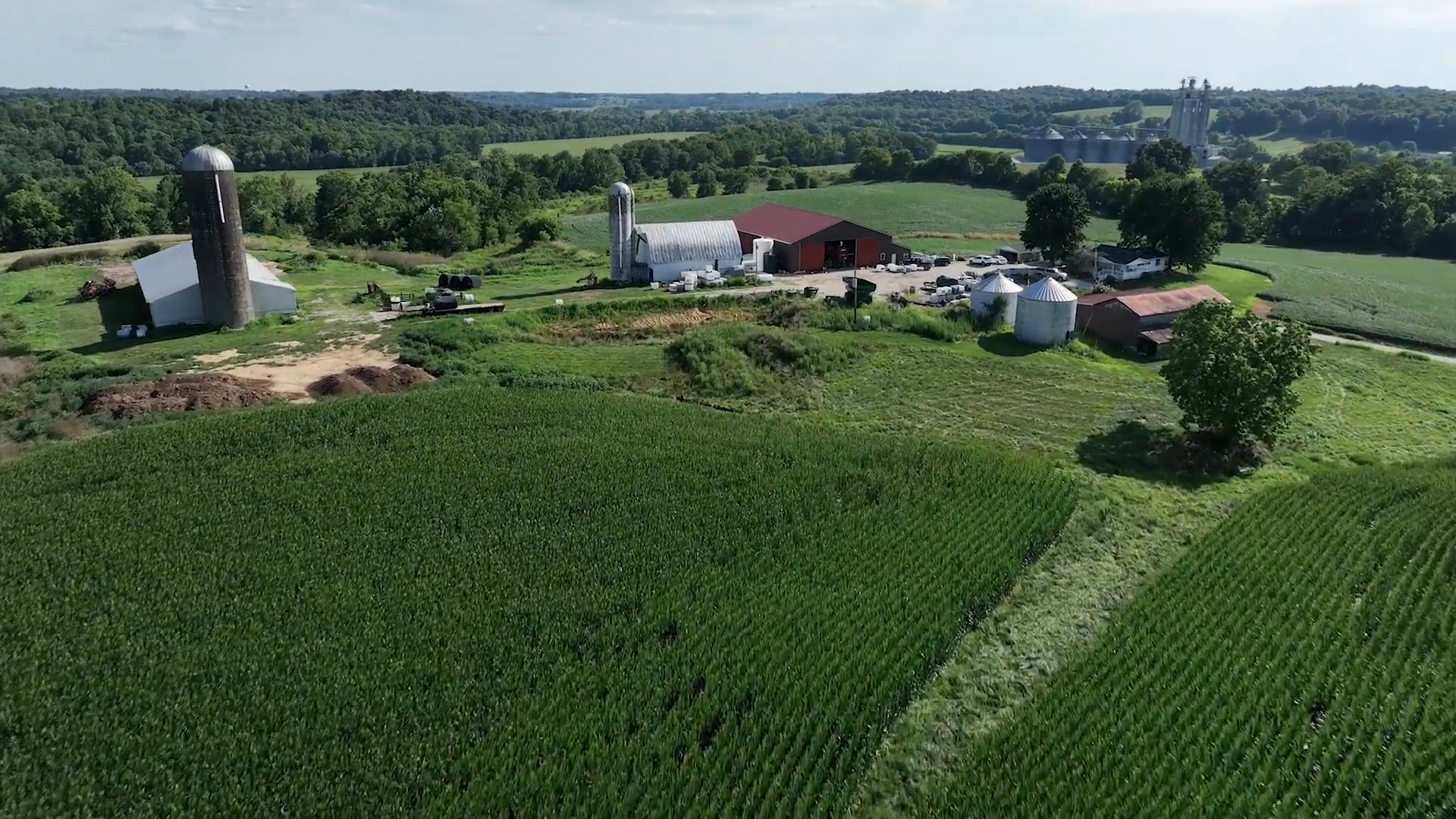 Progress Makes Perfect | 209 | Live To Farm