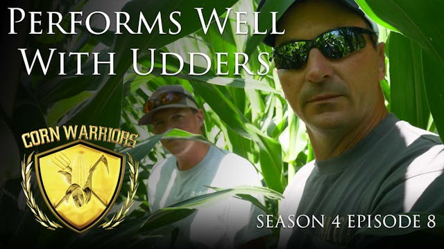 Corn Warriors | 408 | Performs Well w...