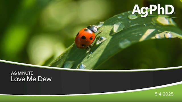 Love Me Dew | Ag PhD