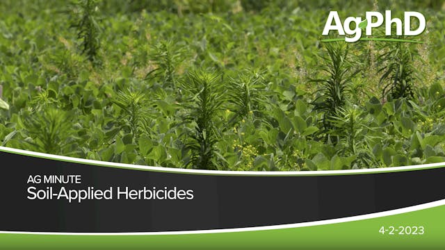 Soil-Applied Herbicides | Ag PhD