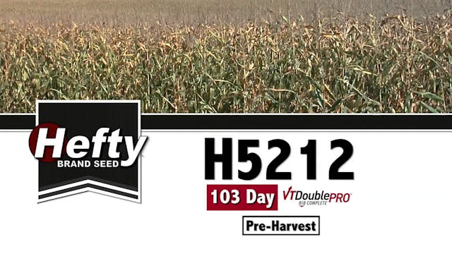 H5212 | 103-Day | VT2P