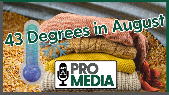 43 Degrees in August | ATI ProMedia 0...