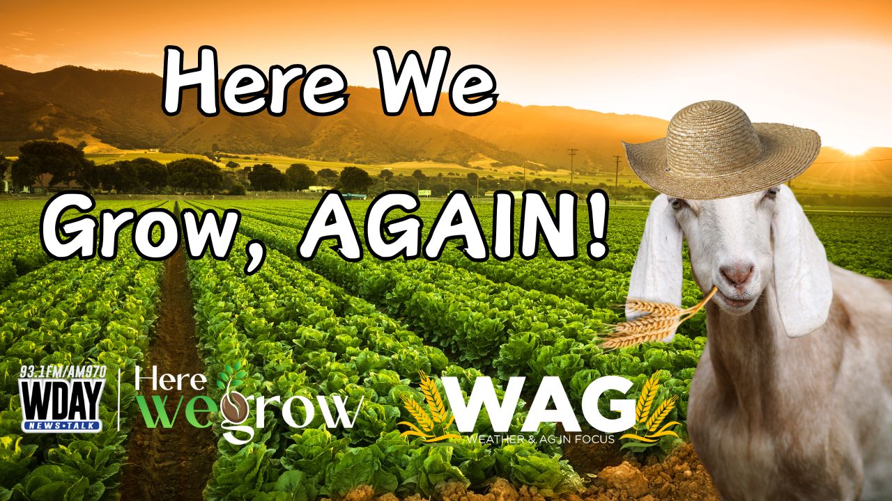 Here We Grow, AGAIN! | WAG in Focus 3/14/24