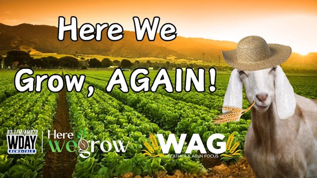 Here We Grow, AGAIN! | WAG in Focus 3...