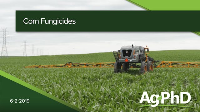 Corn Fungicides | Ag PhD