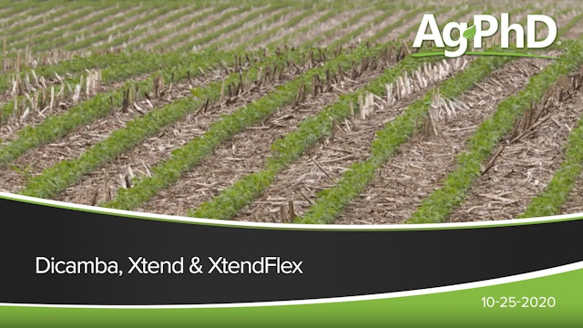 Dicamba, Xtend, and XtendFlex
