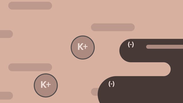 Potassium | AgroLiquid B2B