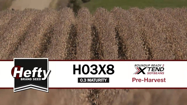 H03X8 | 0.3-Maturity | Xtend