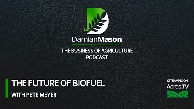 The Future of Biofuel
