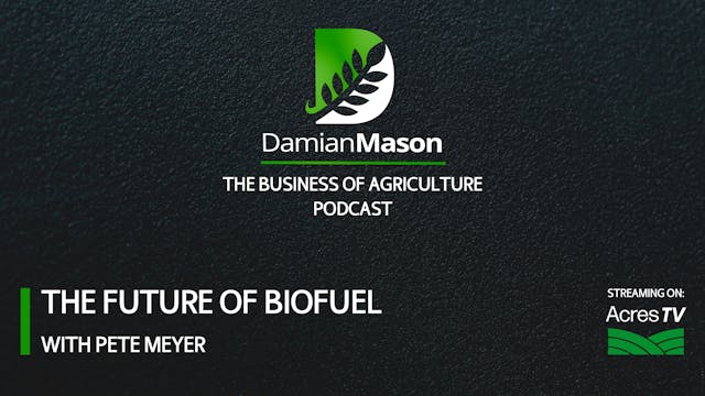 The Future of Biofuel | Damian Mason