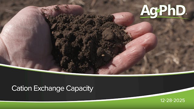 Cation Exchange Capacity | Ag PhD