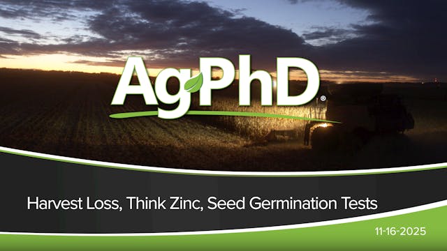 Harvest Loss, Think Zinc, Seed Germin...