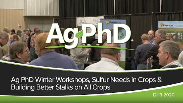 Ag PhD Winter Workshops, Crop Sulfur Needs, Building Better Stalks on All Corn