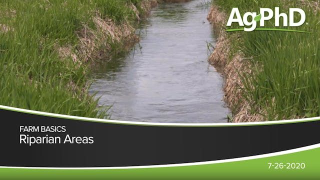 Riparian Areas | Ag PhD