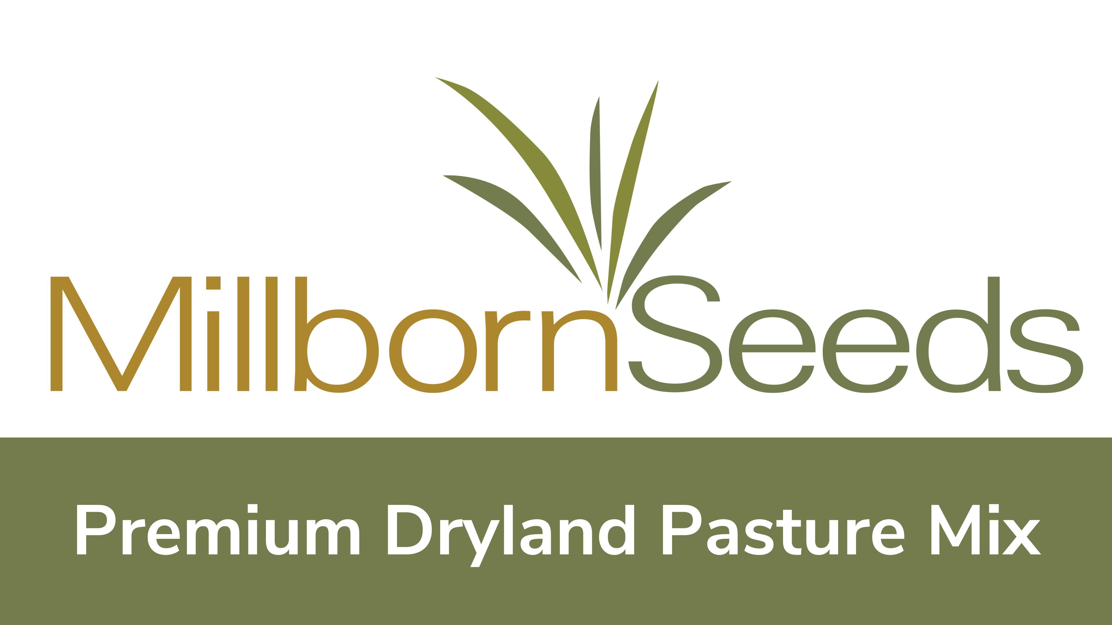 Millborn Seeds - Premium Dryland Pasture Mix