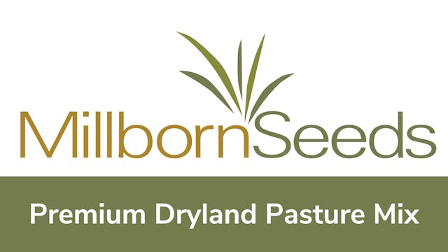 Millborn Seeds - Premium Dryland Past...