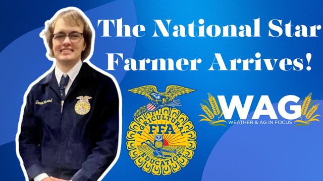 The National Star Farmer Arrives! | W...