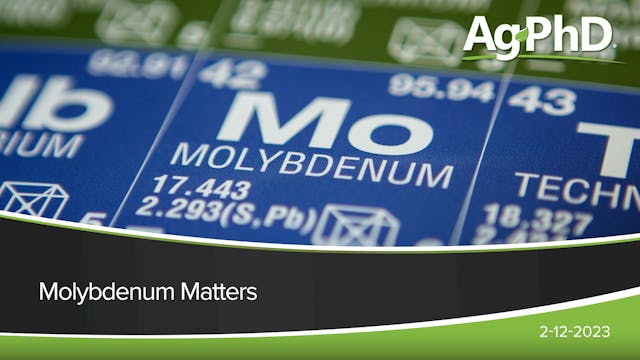 Molybdenum Matters | Ag PhD