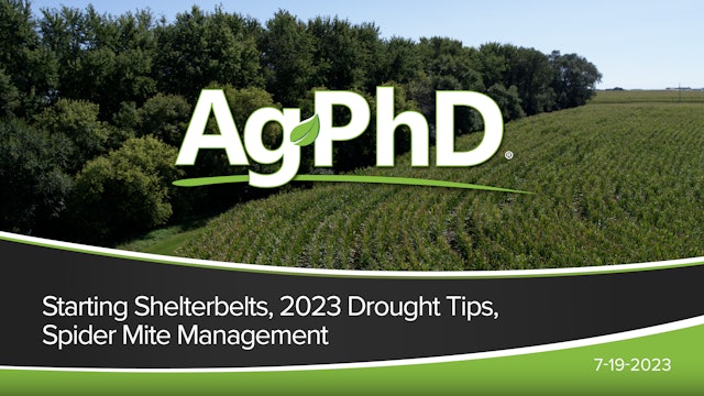 Starting Shelterbelts, 2023 Drought Tips, Spider Mite Management | Ag PhD