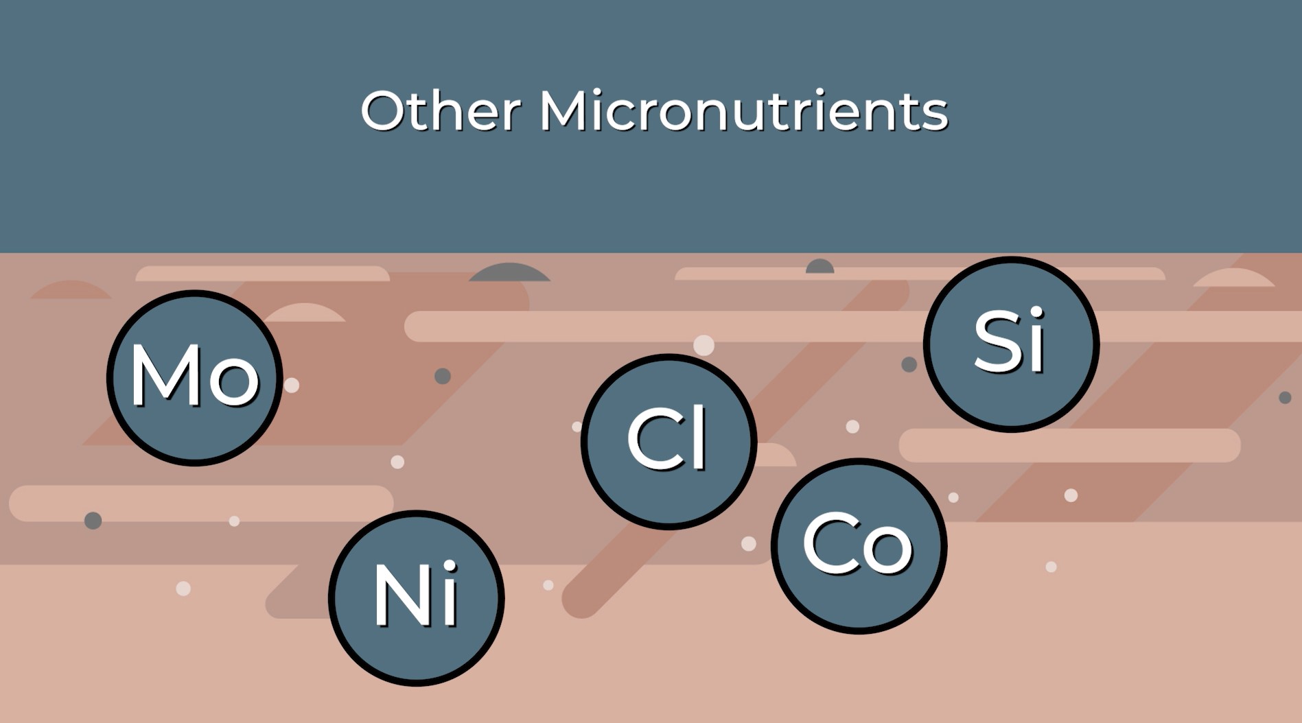Other Micronutrients | AgroLiquid B2B