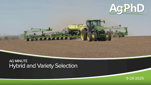 Hybrid and Variety Selection | Ag PhD
