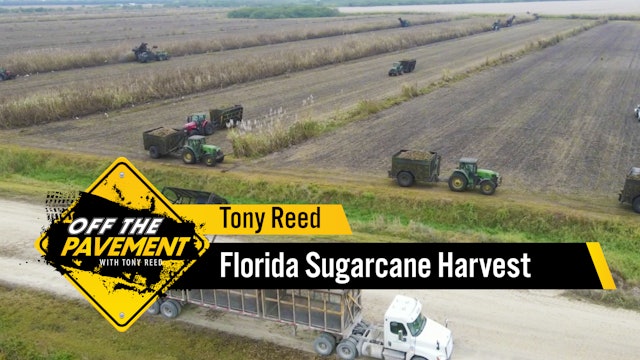 Florida Sugarcane Harvest