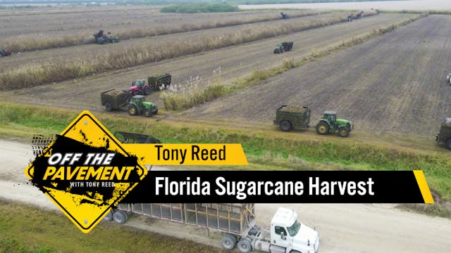 Florida Sugarcane Harvest | Tony Reed