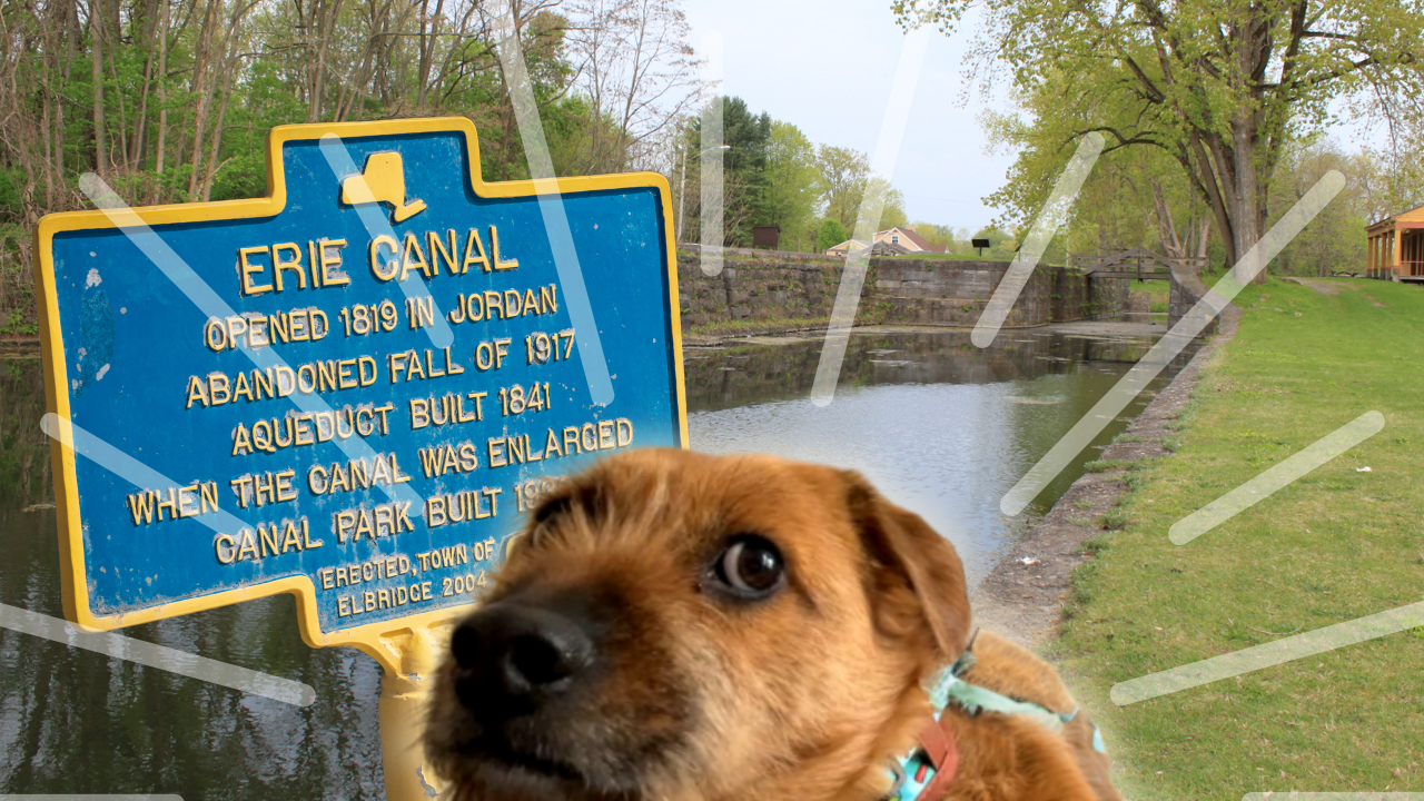 History Lesson: Ag on Eric Canal | WAG in Focus 02-24-25
