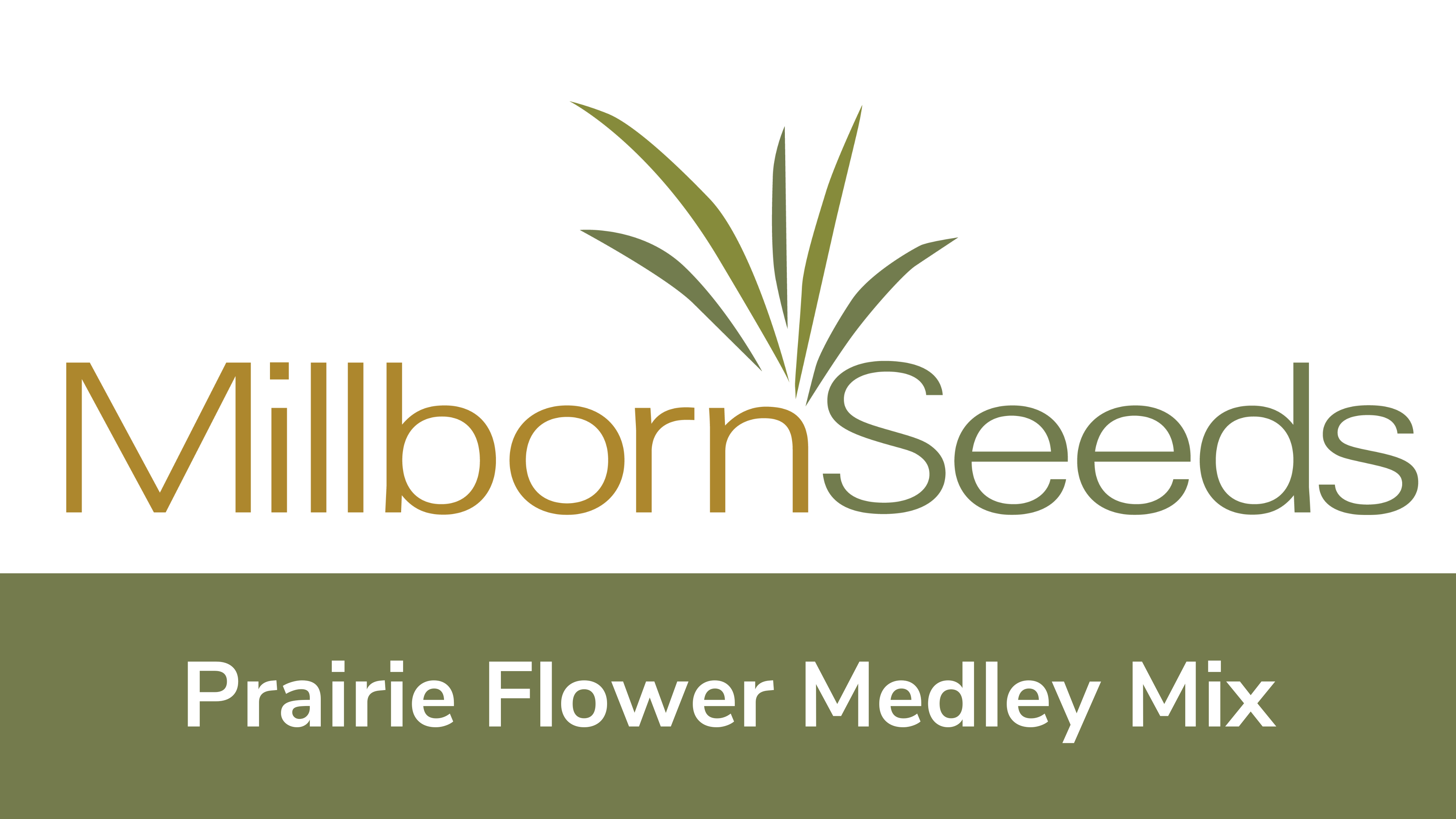 Millborn Seeds - Prairie Flower Medley Mix
