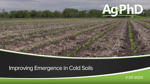 Improving Emergence in Cold Soils