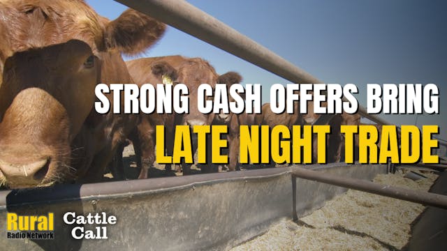 Strong Cash Offers Brings Late Night ...