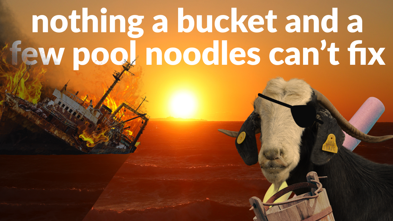 Free For all Monday! | WAG in Focus 03-09-26