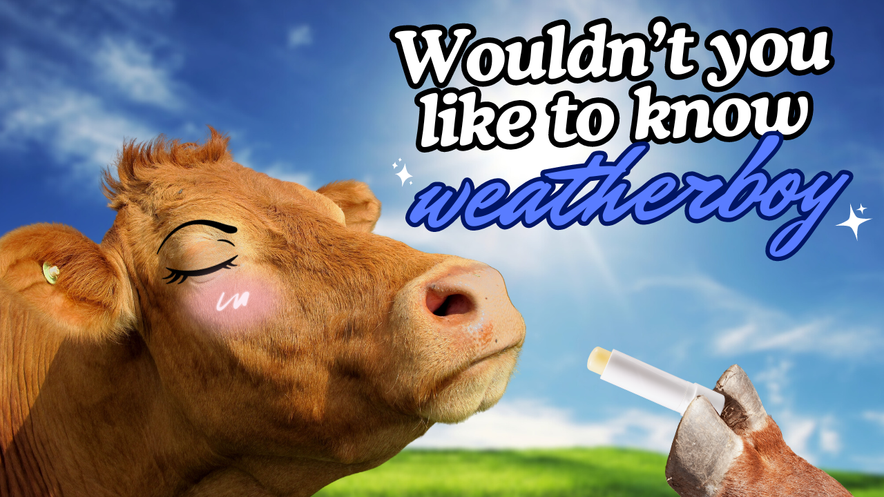 Listener Questions: Do Cows Lips Get Chapped? | WAG in Focus 07/11/24