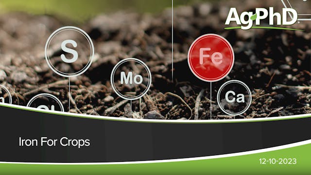 Iron For Crops | Ag PhD