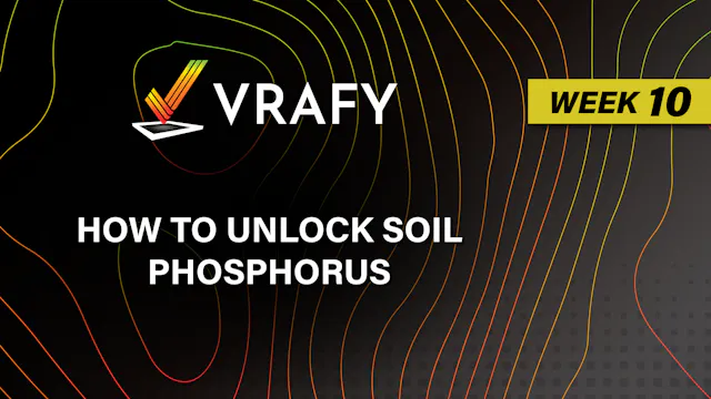 How to Unlock Soil Phosphorus | VRAFY