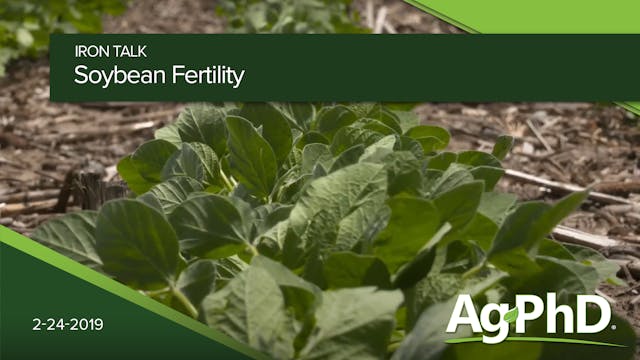 Soybean Fertility