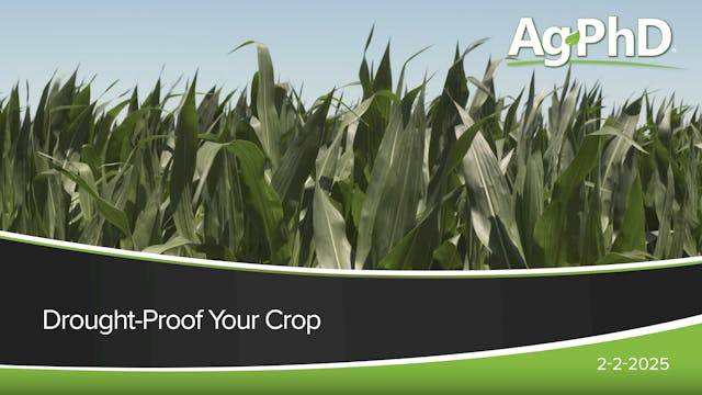 Drought-Proof Your Crop | Ag PhD