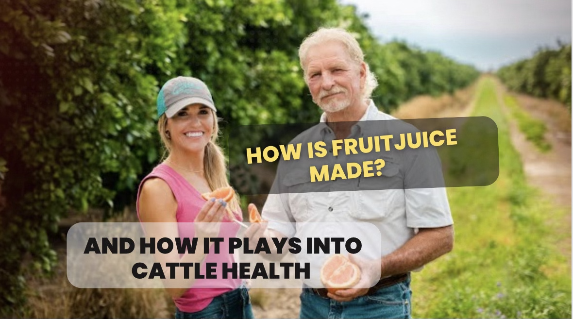 Ag on Wheels | How Citrus Juice is Made! - Lone Star Citrus